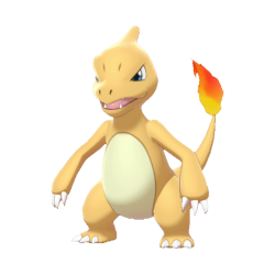 #005 Charmeleon